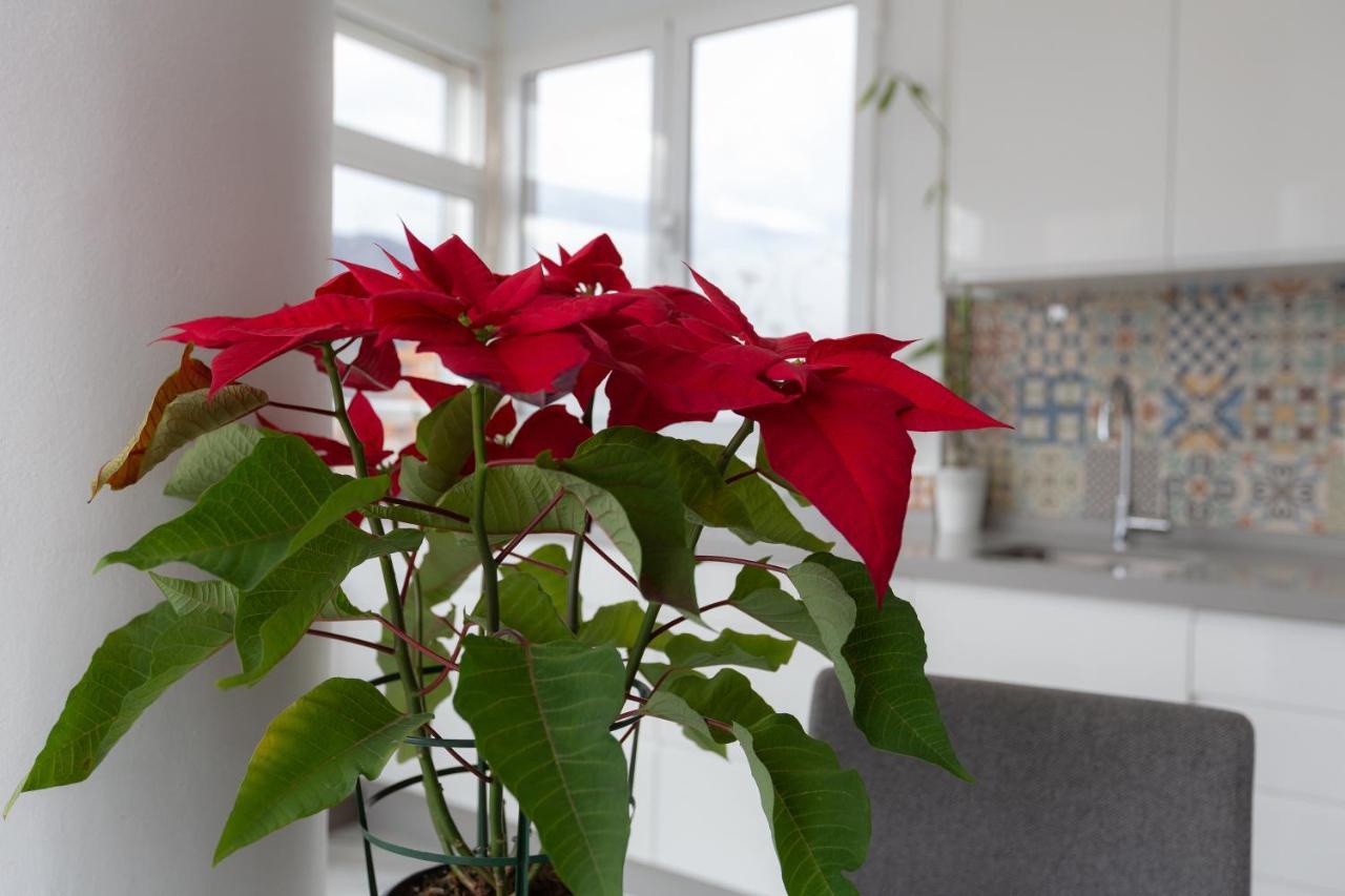 Apt Playa Y Montana Apartment Torremolinos Exterior photo